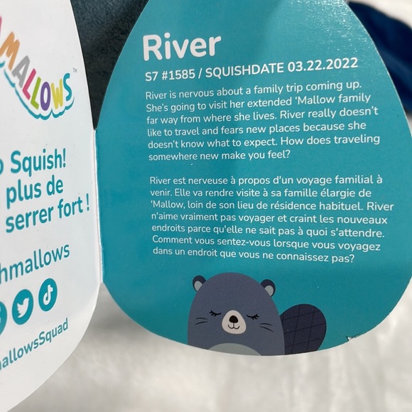 NWT Squishmallows River the Beaver - Picture 7 of 8